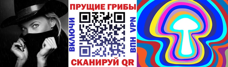 Галлюциногенные грибы Psilocybe Кондрово
